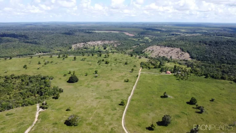 Fazenda à Venda, 7.140.000 m² em Zona Rural - Cardeal Da Silva