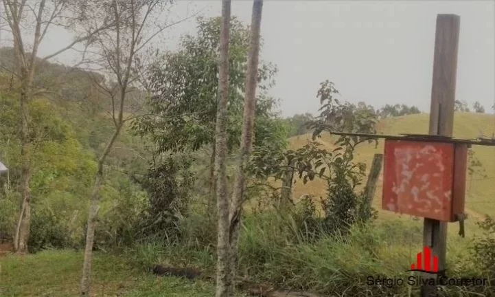 Imagem Chácara Para Venda Com 45.000,00 m², em Santo Antônio do Pinhal.