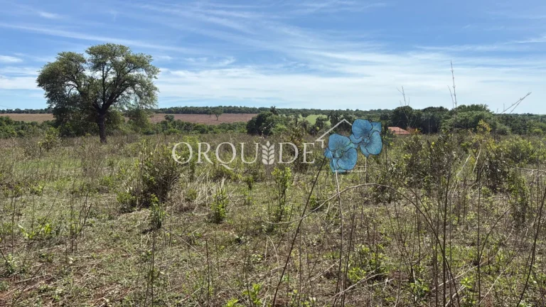 Imagem Fazenda à venda em Aparecida do Rio Doce-GO no bairro Setor Central com 10,00 alqueires de área