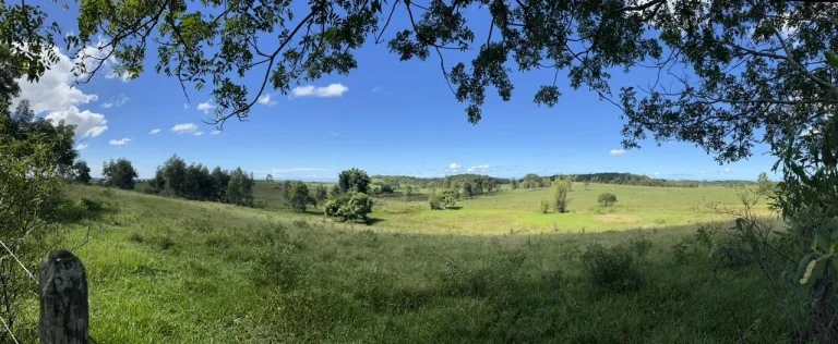 Imagem Vendo em Araruama fazenda 52 alqueires E 350 cabeças de gados.