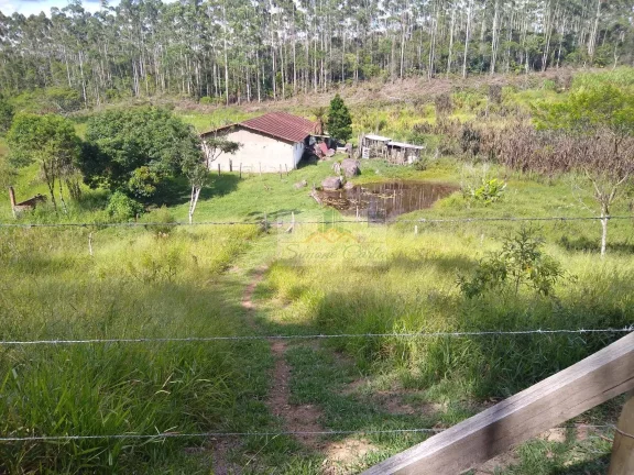 Imagem SITIO 19 ALQUEIRES SARAPUI SÃO PAULO