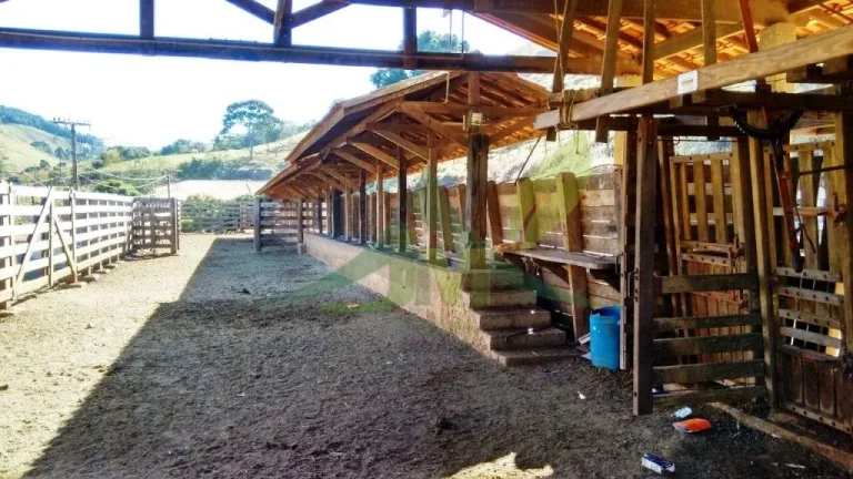 Imagem FAZENDA GADO NELORE COM 100 ALQUEIRES em Cambui MG
