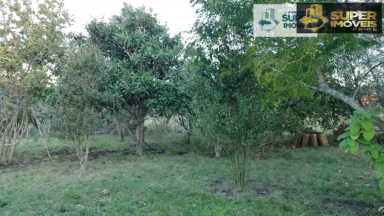 Imagem Sítio para Venda em Centro Piratini-RS - 2143