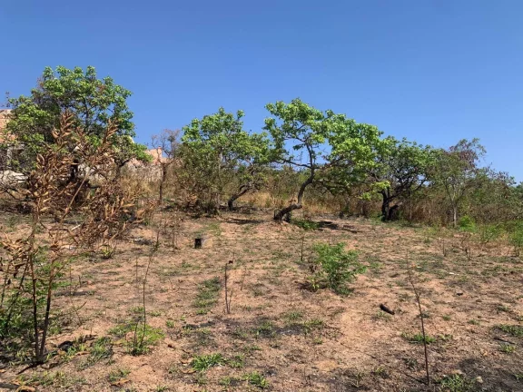 Imagem EXCELENTE CHÁCARA DE 5.530 M², EM JUATUBA!