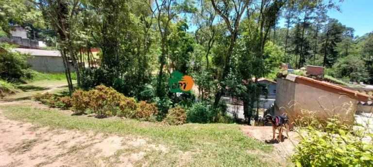 Imagem Terreno para Venda em São Roque, Taipas De Pedras (mailasqui)
