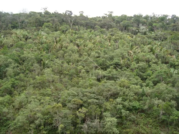 Imagem Sítio a venda entre Santa Leopoldina/Santa Teresa – 11 Hectares