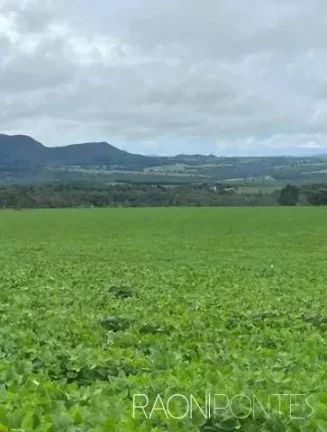 Fazenda à Venda, 5.620.000 m² em Zona Rural - Jaraguá