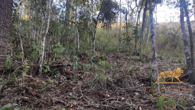 Imagem Terreno a venda nas montanhas de Campos do Jordão-SP