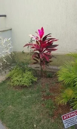 Imagem Apartamento para Venda em São Bernardo do Campo / SP no bairro Taboão