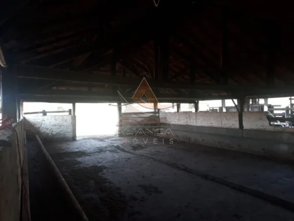 Imagem Fazenda - Cajuru - Zona Rural