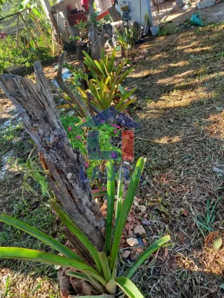 Imagem SITIO RURAL em CONCEIÇÃO DO PARÁ - MG, CONCEIÇÃO DO PARA
