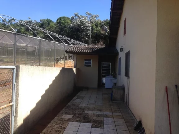 Imagem Sítio rural à venda, Jardim Nova Ipelândia, Suzano, 2000 metros da Rodovia Índio Tibiriçá.