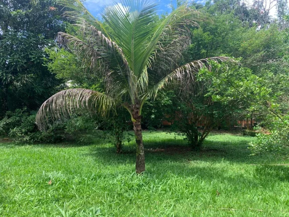 Imagem SITIO COM 4.500 M² , BAIRRO SATÉLITE EM JUATUBA!