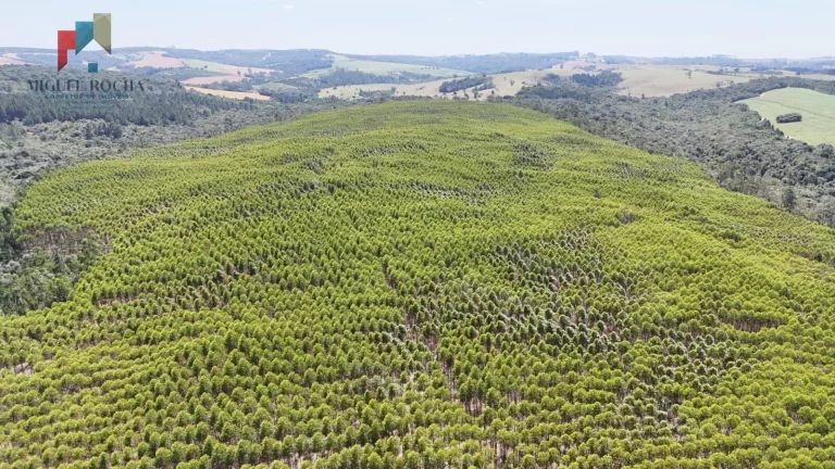 Imagem Fazenda a venda em São Miguel Arcanjo SP