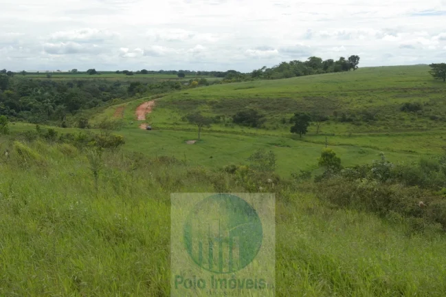 Imagem Fazenda em Cajuru 72 alqueires com soja, gado, braquiária e estrutura, 75 km de Ribeirão Preto - SP