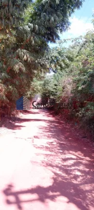 Imagem Chácara para Venda em Brasília, Setor Habitacional Tororó (Jardim Botânico)