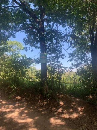 Imagem ÁREA DE 2 HECTARES , EM JUATUBA! IDEAL PARA CONSTRUTORES.