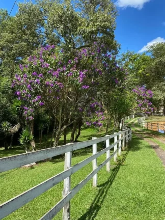 Imagem Chácara à venda no bairro Paiol Velho - Cunha/SP