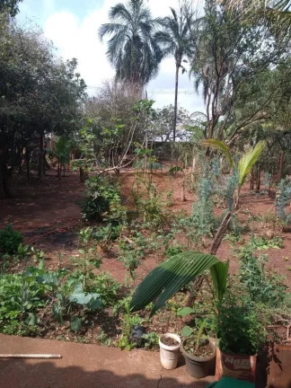 Imagem CHACÁRA AO LADO DO THERMAS RIO PRETO