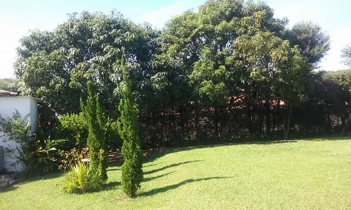 Imagem Chácara em Sarapuí - 5.000m²