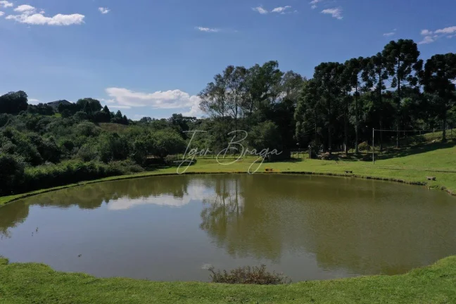 Imagem Chácara em Campo Largo com lago a venda