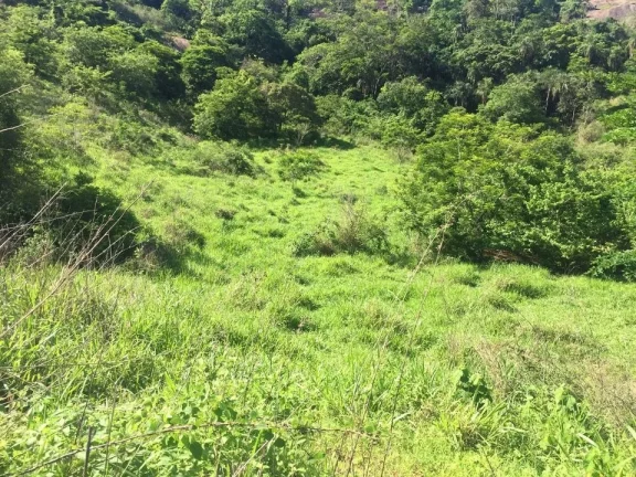 Imagem FAZENDA RURAL em COLATINA - ES, ÁREA RURAL DE COLATINA