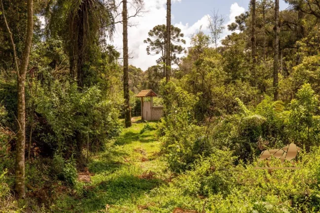 Imagem Terreno com 3132m a venda em Campos do Jordão