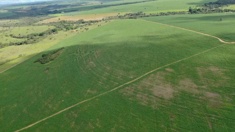 Imagem Fazenda à Venda em Santa Cruz de Goiás – Dupla Aptidão!