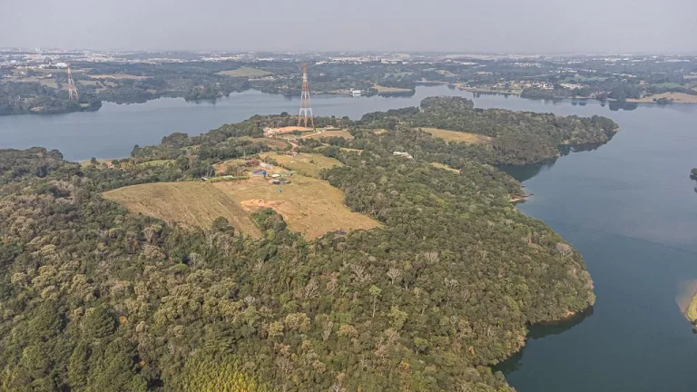 Imagem Chácara no Passaúna