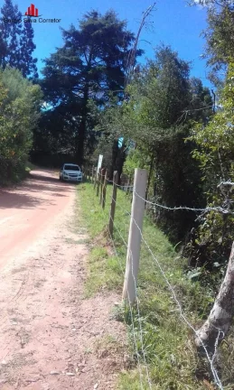 Imagem Terreno a Venda na Região do Morro do Elefante Campos do Jordão - SP