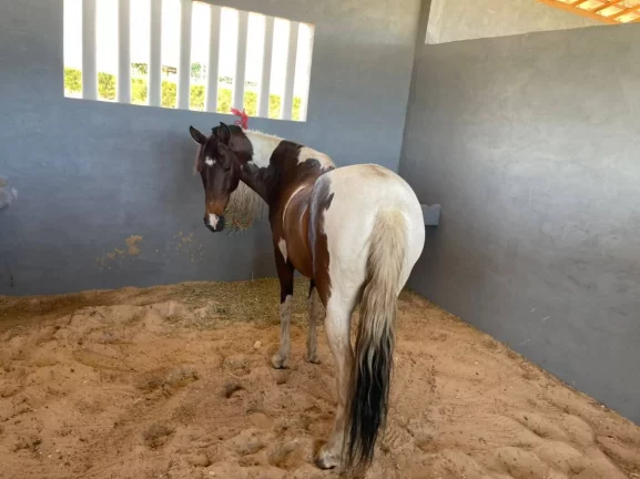 Imagem Lote no Fazenda Real Residence