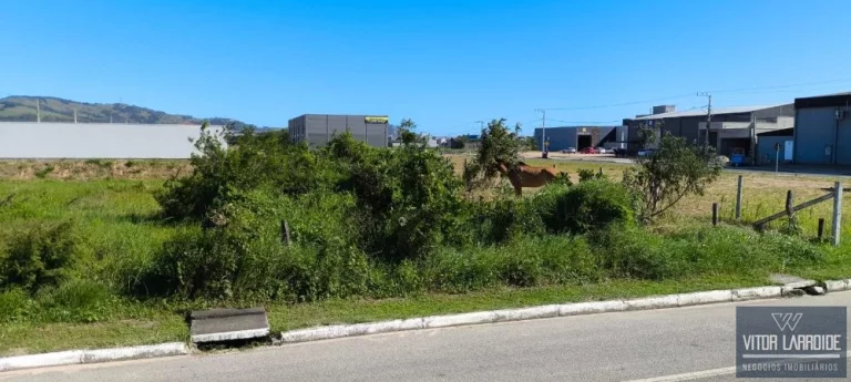 Imagem Terreno de 2.112m² à Venda na Avenida Pedro Zapelini
