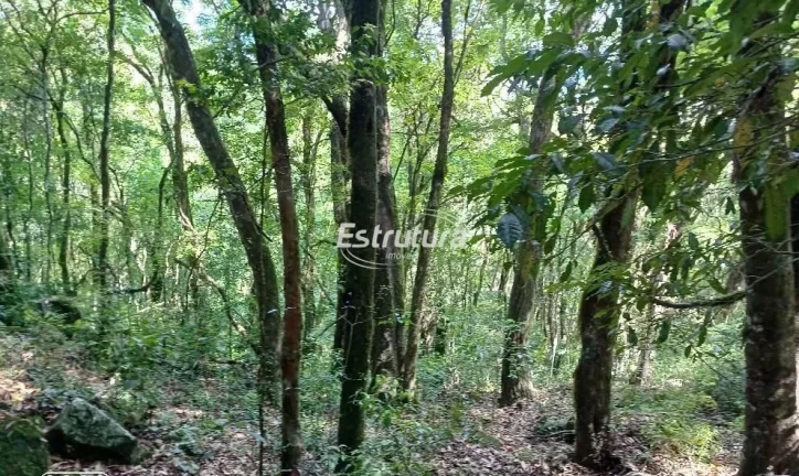 Imagem Chácara em Silveira Martins