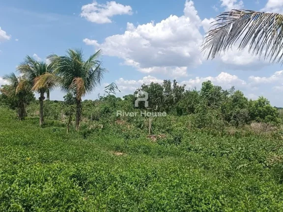 Imagem Encantadora Fazenda à Venda na Zona Rural de Nossa Senhora do Livramento