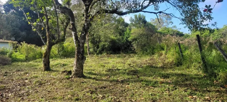 Imagem Chácara para Venda em Itanhaém, Gaivota (Interior), 2 dormitórios, 2 banheiros, 10 vagas