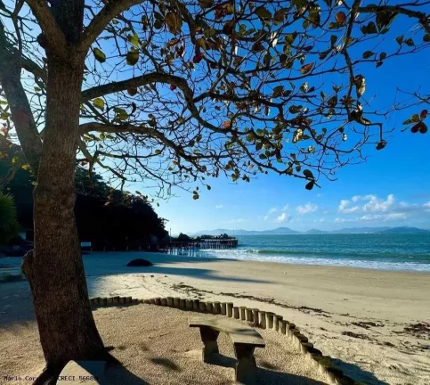 Imagem Apartamento mobiliado com 2 dormitórios e 1 vaga, Praia da Armação Governador Celso Ramos/SC