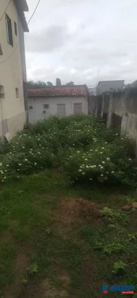 Imagem VENDO CASA NO TÉRREO RUA JACOBINA 429 - BAIRRO JARDIM CRUZEIRO