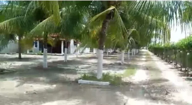 Imagem Casas e um verdadeiro sítio a Beira Mar na Praia de Lucena, você pode empreender