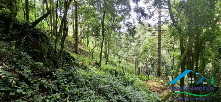 Imagem Mergulhe na Serenidade da Serra da Mantiqueira: Terreno com Cachoeira