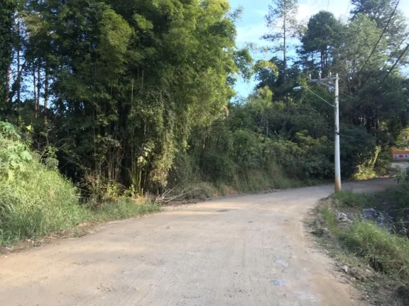 Imagem Área à venda, 5000 m² por R$ 180.000,00 - Fazenda Aya - Suzano/SP