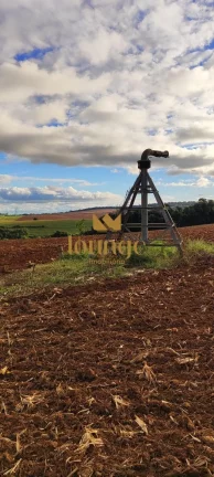 Imagem Fazenda em Não Informado