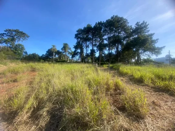 Imagem Terreno à venda, 1580 m² por R$ 480.000,00 - Chácaras Ceres - Suzano/SP