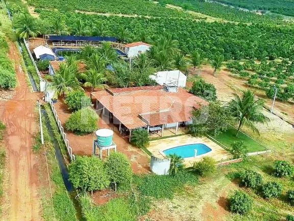 Imagem Fazenda produtiva de mangas à venda com 12,5 ha, PETROLINA - PE