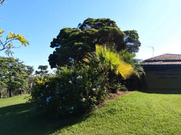 Imagem Chácara para Venda em Espírito Santo do Pinhal, Área Rural de Espírito Santo do Pinhal, 3 dormitórios, 1 suíte, 2 banheiros, 9 vagas