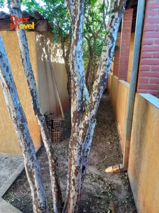 Imagem Terreno à venda em Ribeirão Preto-SP, Parque Residencial Cândido Portinari, 360m² de área. Aproveite essa oportunidade!