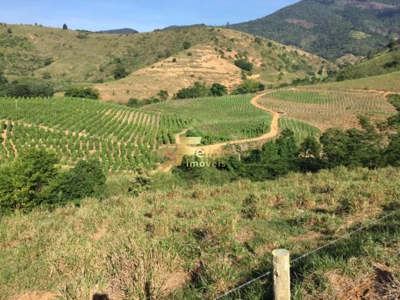 Imagem Fazenda de aproximadamente 50 alqueires.