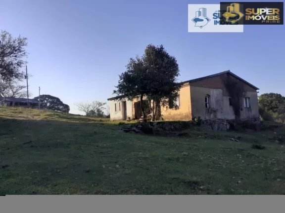 Imagem Chácara para Venda em Centro Cerrito-RS - 1591