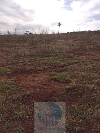 Imagem Sítio vende 10 alqueires em Altinópolis - SP, terra de cultura, vermelha e em pasto.