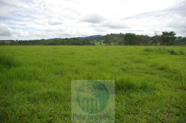 Imagem Fazenda 59 alqueires para soja, milho, gado em Cássia dos Coqueiros - SP . Temos autorização para venda.