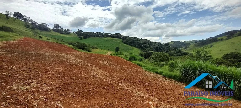 Imagem Invista em Sustentabilidade: Sítio com Nascentes e Preservação